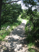 Rilke path